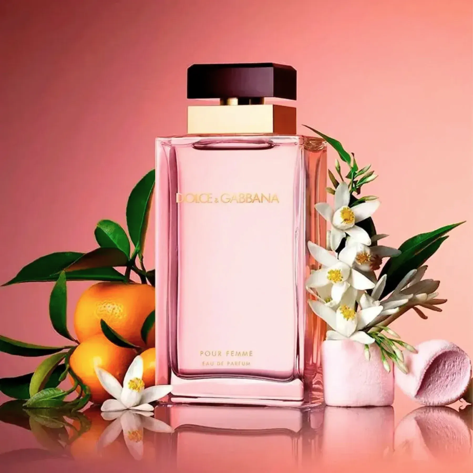 D-G POUR FEMME -2-
